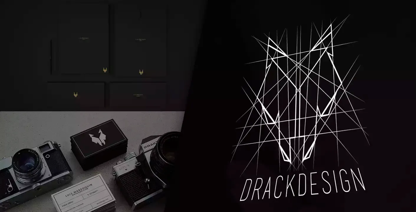 DrackWolf visual identity